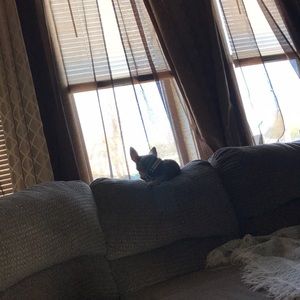 Meet your Posher, Jennifer